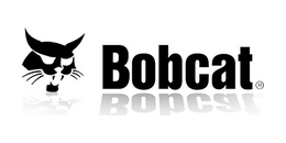 Bobcat